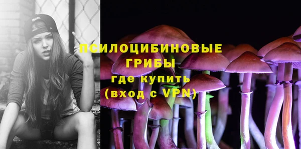 круглые Корсаков