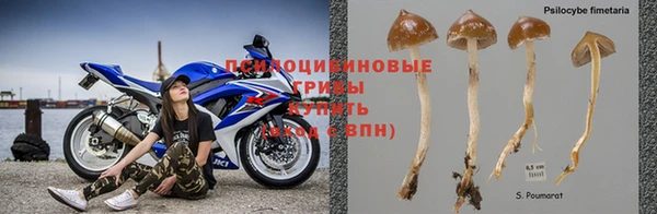 круглые Корсаков