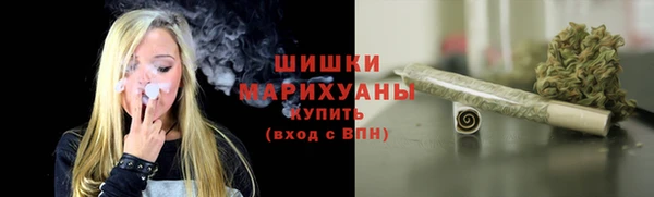 круглые Корсаков
