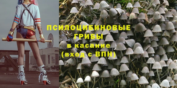 круглые Корсаков