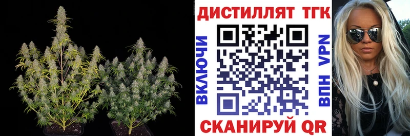 Купить закладки  Каменногорск  ТГК вейп с тгк 