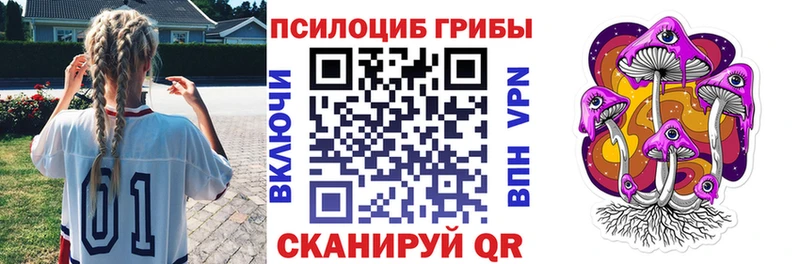 Купить где  Каменногорск  Галлюциногенные грибы Cubensis 